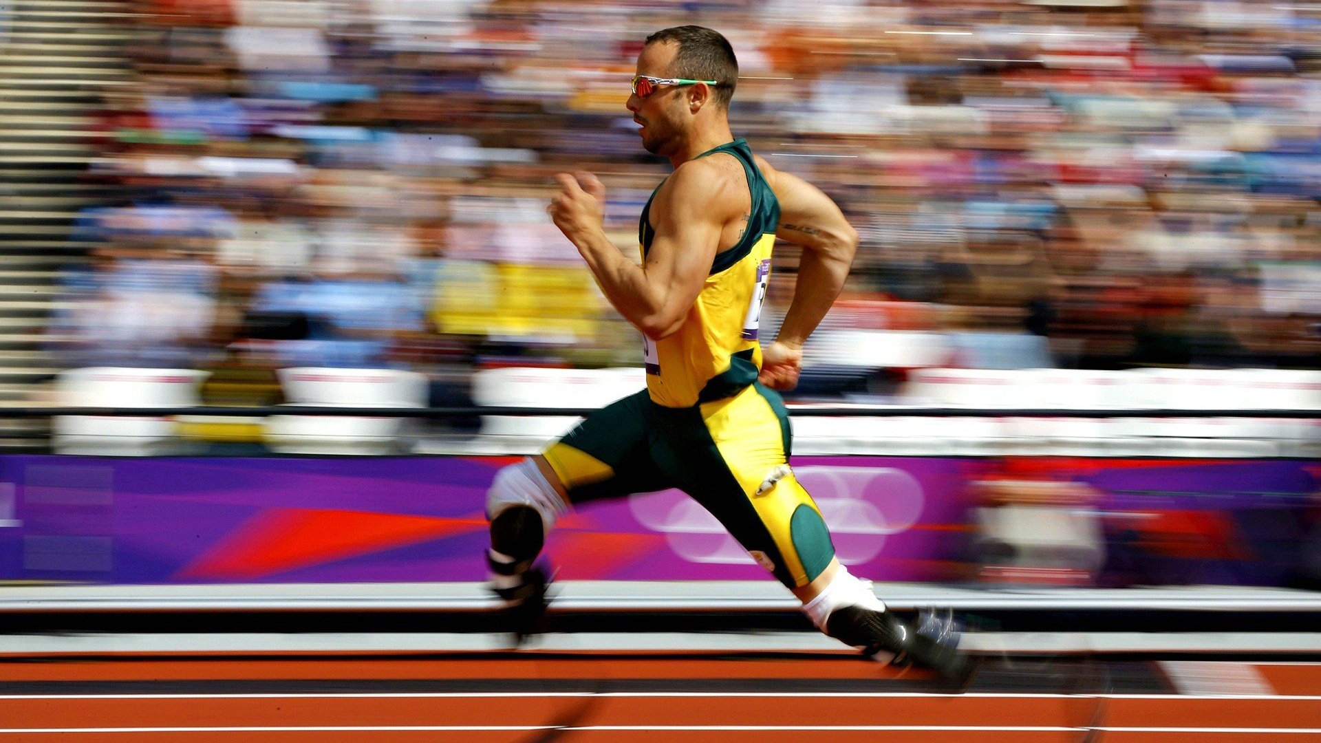 澳大利亚队的未来崛起：乒乓球赛事的全新战略部署，澳大利亚乒乓球公开赛比赛结果